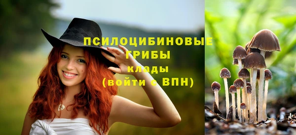 дурь Белокуриха