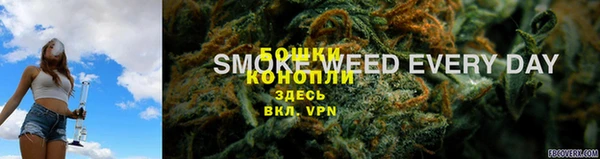 дурь Белокуриха