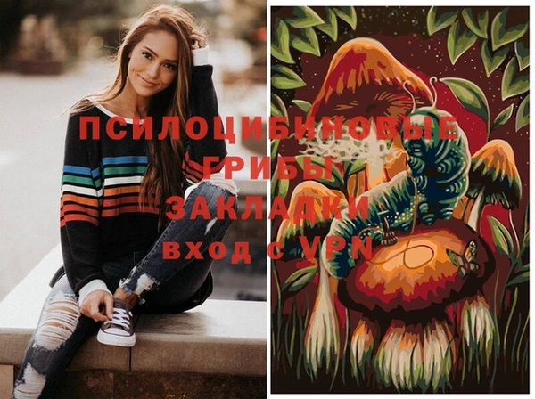 дурь Белокуриха