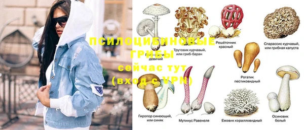 дмт Белоозёрский